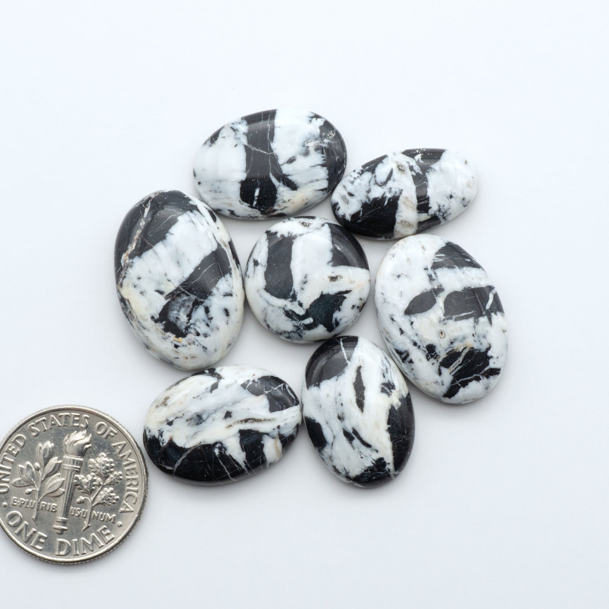 White Buffalo Stone Cabochons