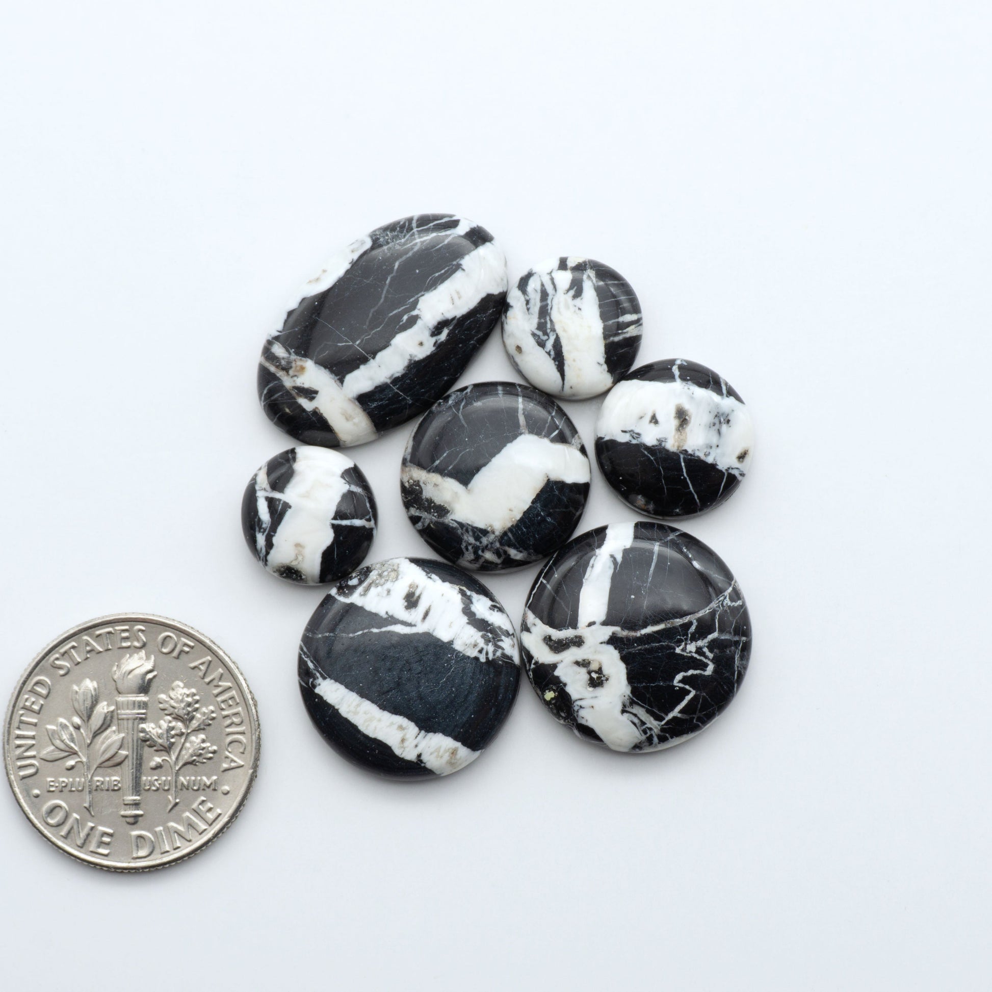 White Buffalo Stone Cabochons
