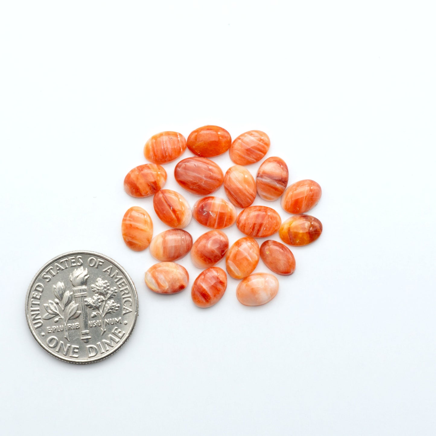 Add a unique touch to your jewelry designs with our beautiful 100% Natural Spiny Oyster Shell Cabochons. Incorporate the beauty of the sea into your creations.