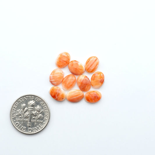 Add a unique touch to your jewelry designs with our beautiful 100% Natural Spiny Oyster Shell Cabochons. Incorporate the beauty of the sea into your creations.