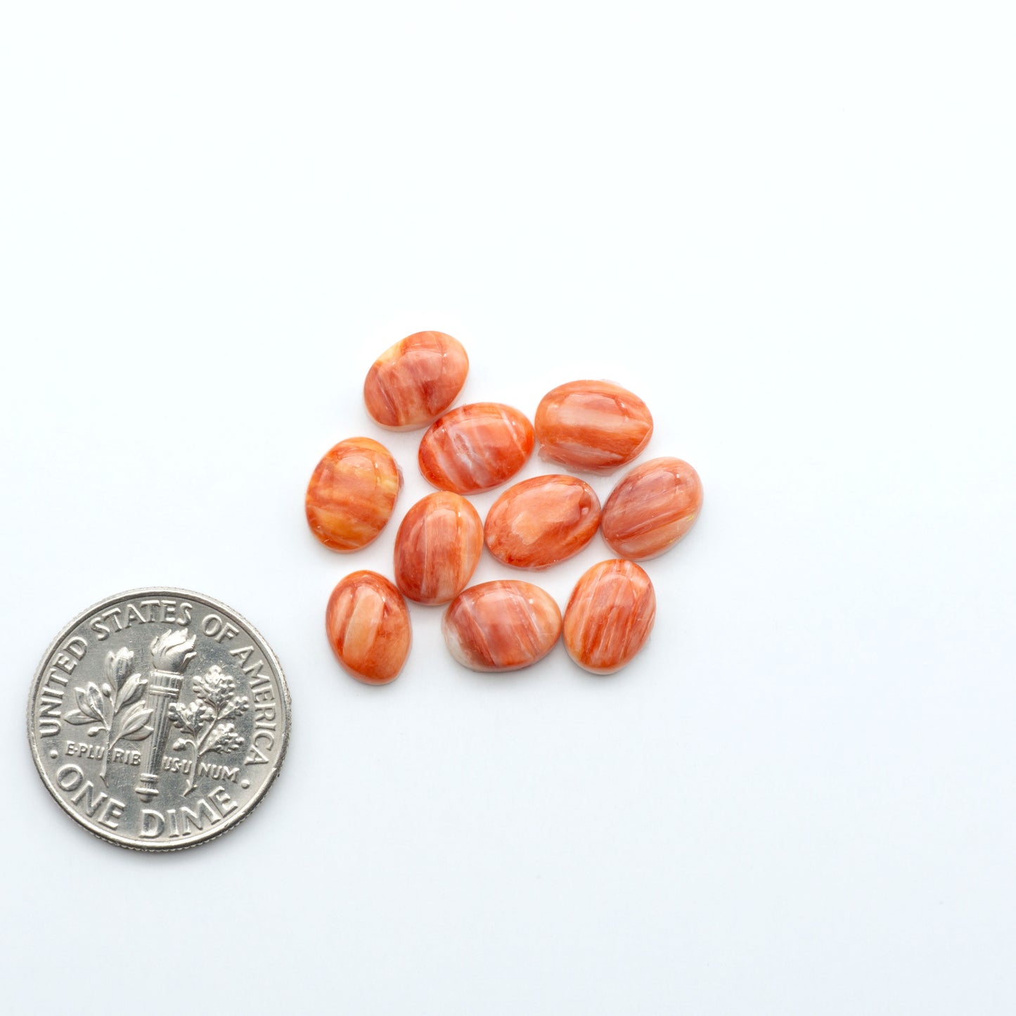 Spiny Oyster Cabochons