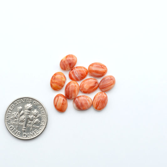 Spiny Oyster Cabochons