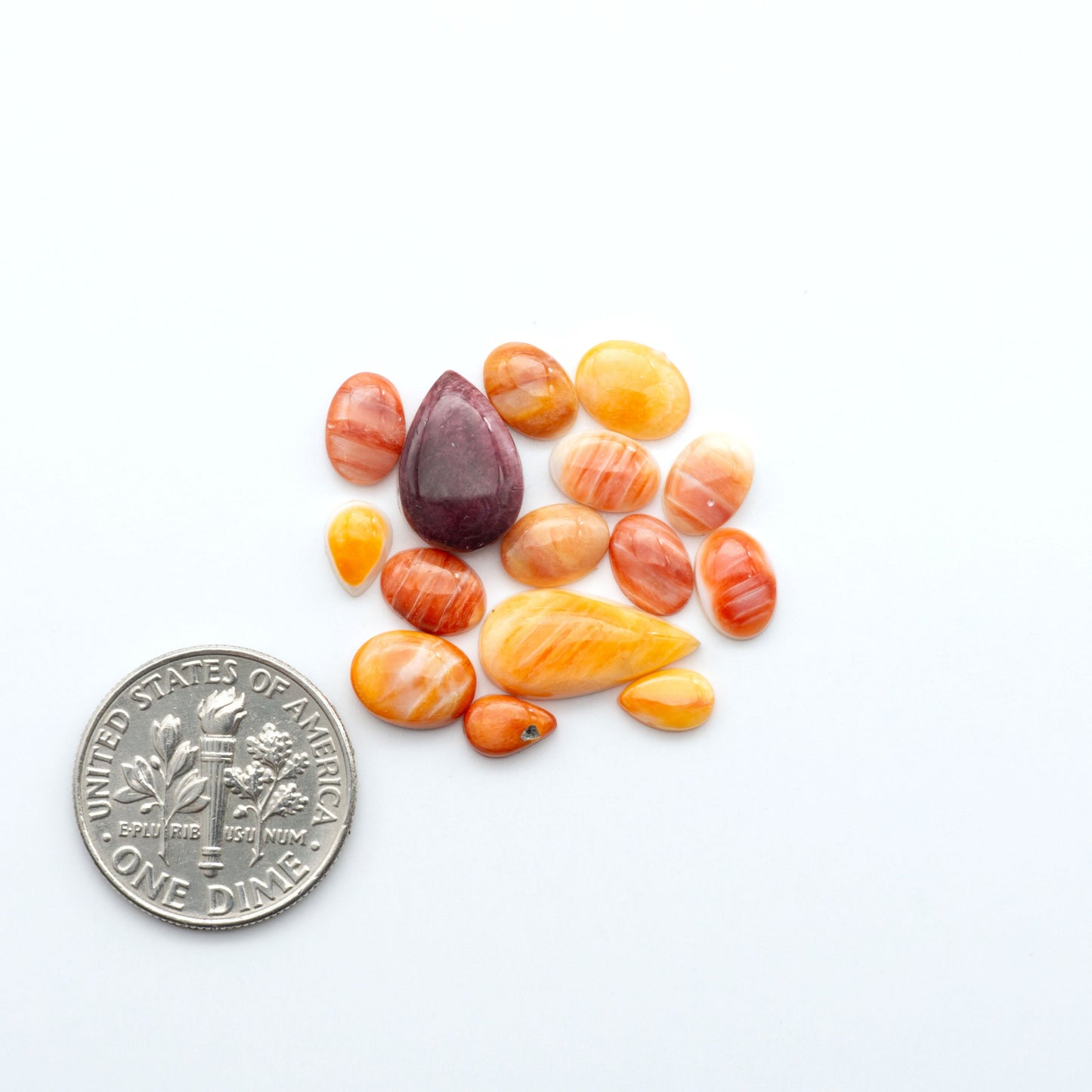 Add a unique touch to your jewelry designs with our beautiful 100% Natural Spiny Oyster Shell Cabochons. Incorporate the beauty of the sea into your creations.