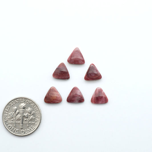 Spiny Oyster Cabochons