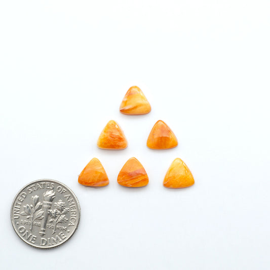 Add a unique touch to your jewelry designs with our beautiful 100% Natural Spiny Oyster Shell Cabochons. Incorporate the beauty of the sea into your creations.