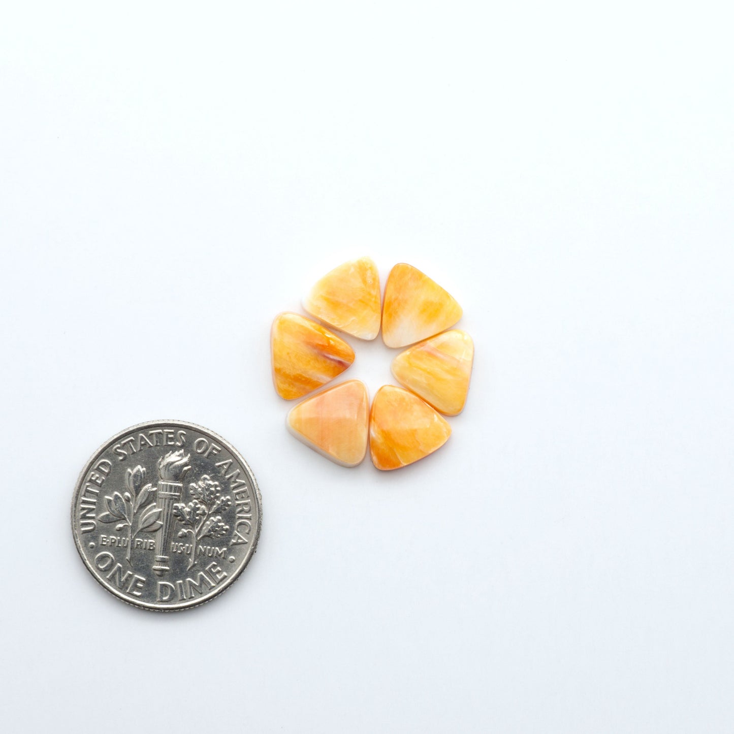 Add a unique touch to your jewelry designs with our beautiful 100% Natural Spiny Oyster Shell Cabochons. Incorporate the beauty of the sea into your creations.