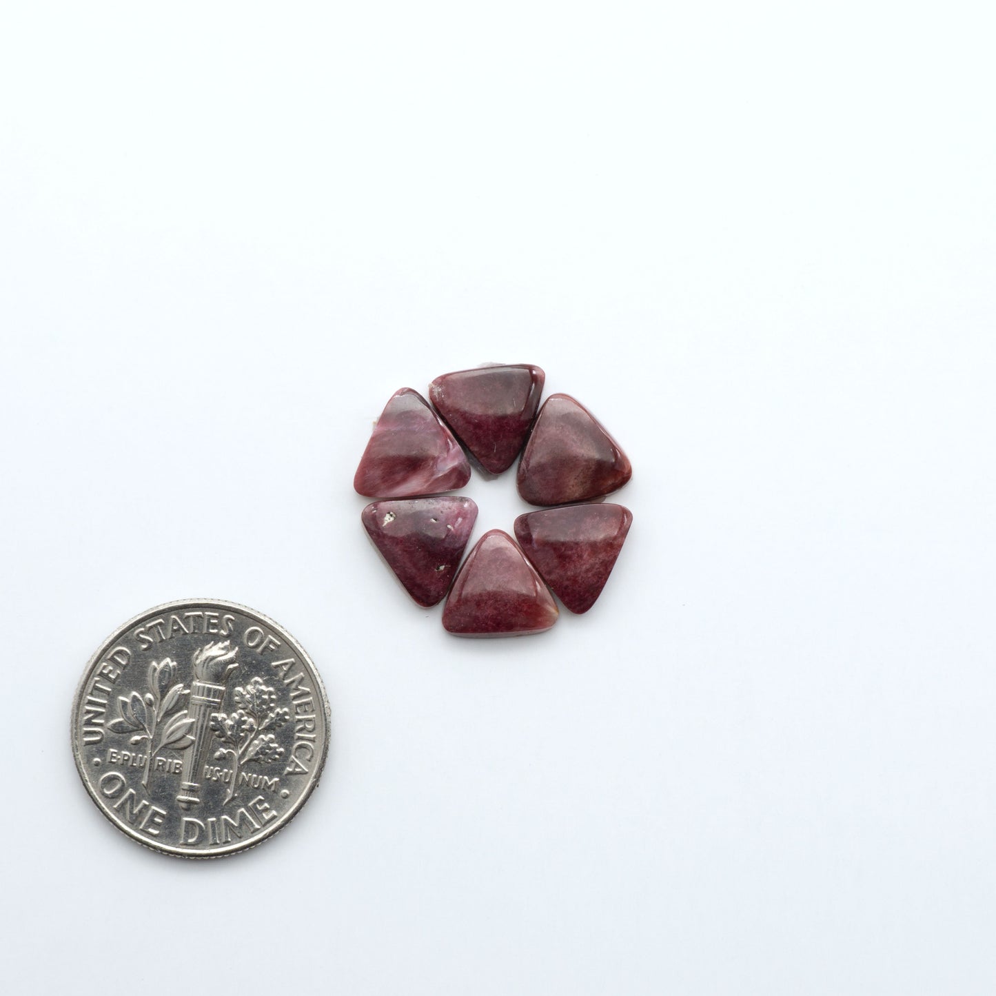 Spiny Oyster Cabochons