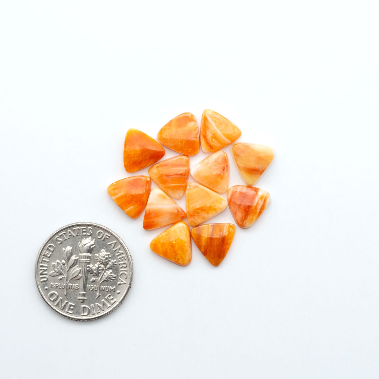 Add a unique touch to your jewelry designs with our beautiful 100% Natural Spiny Oyster Shell Cabochons. Incorporate the beauty of the sea into your creations.