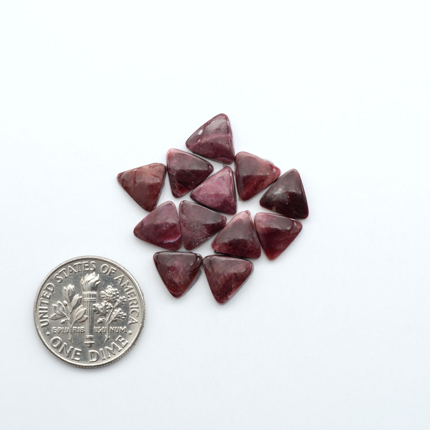 Add a unique touch to your jewelry designs with our beautiful 100% Natural Spiny Oyster Shell Cabochons. Incorporate the beauty of the sea into your creations.