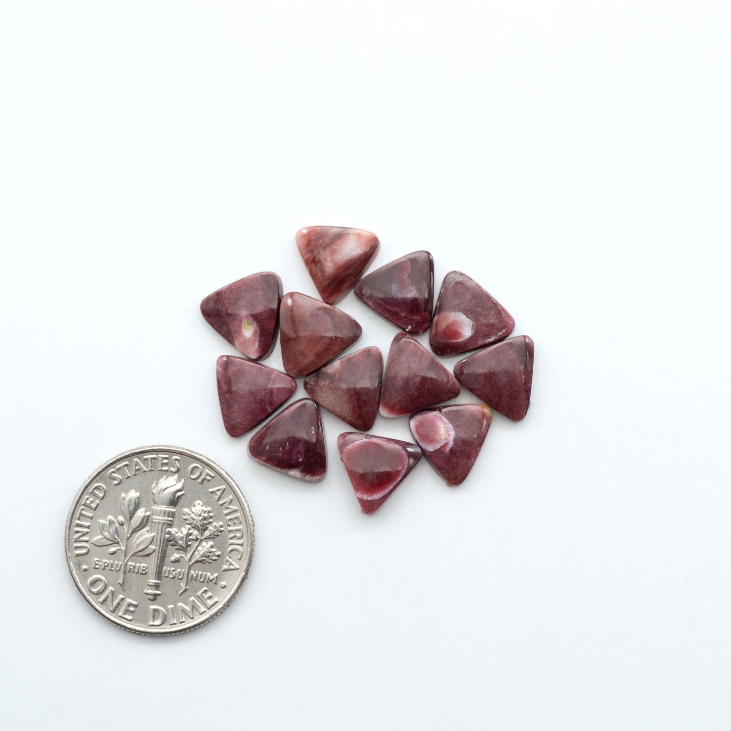 Add a unique touch to your jewelry designs with our beautiful 100% Natural Spiny Oyster Shell Cabochons. Incorporate the beauty of the sea into your creations.