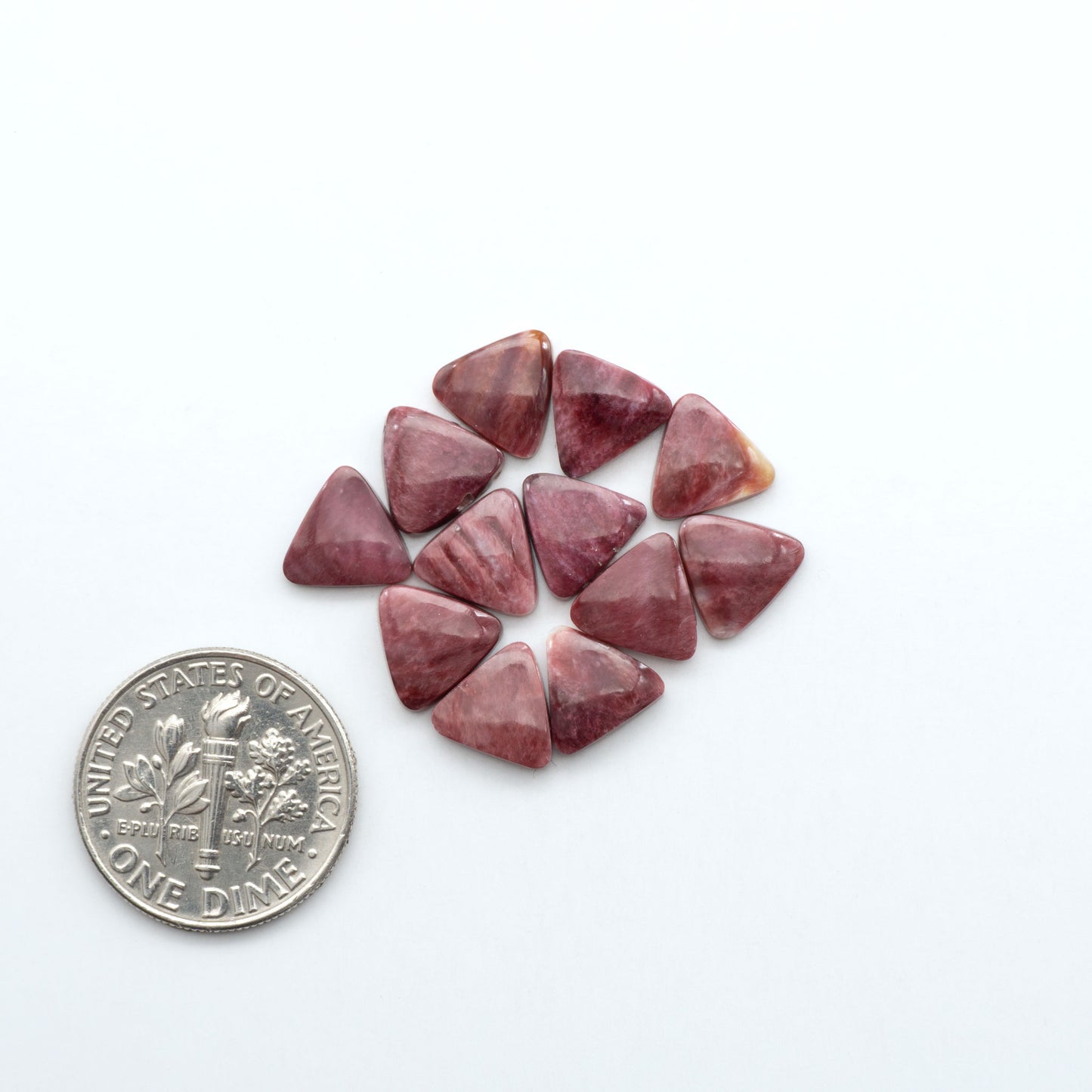 Add a unique touch to your jewelry designs with our beautiful 100% Natural Spiny Oyster Shell Cabochons. Incorporate the beauty of the sea into your creations.