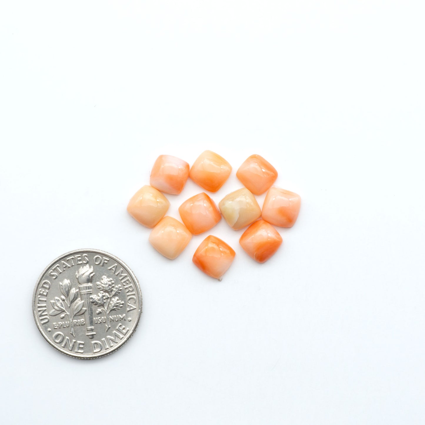 Discover natural pink Coral cabochons with soft salmon hues and smooth polish, ideal for creating timeless handcrafted rings, pendants, and custom designs.