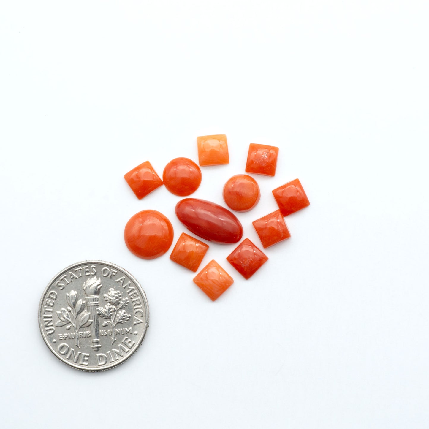 Discover natural Red Coral cabochons with deep crimson hues and smooth polish, ideal for creating timeless handcrafted rings, pendants, and custom designs.