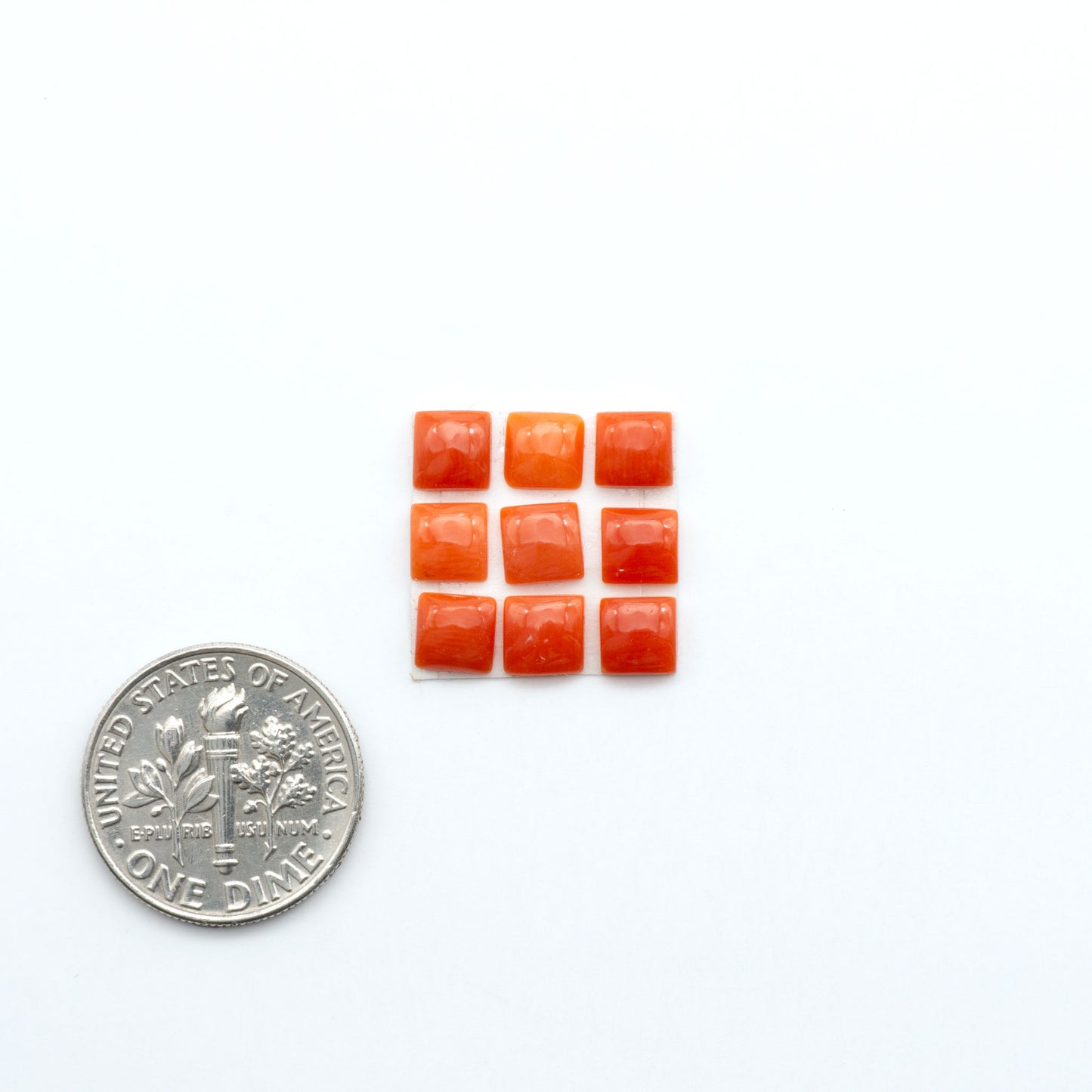 Discover natural Red Coral cabochons with deep crimson hues and smooth polish, ideal for creating timeless handcrafted rings, pendants, and custom designs.