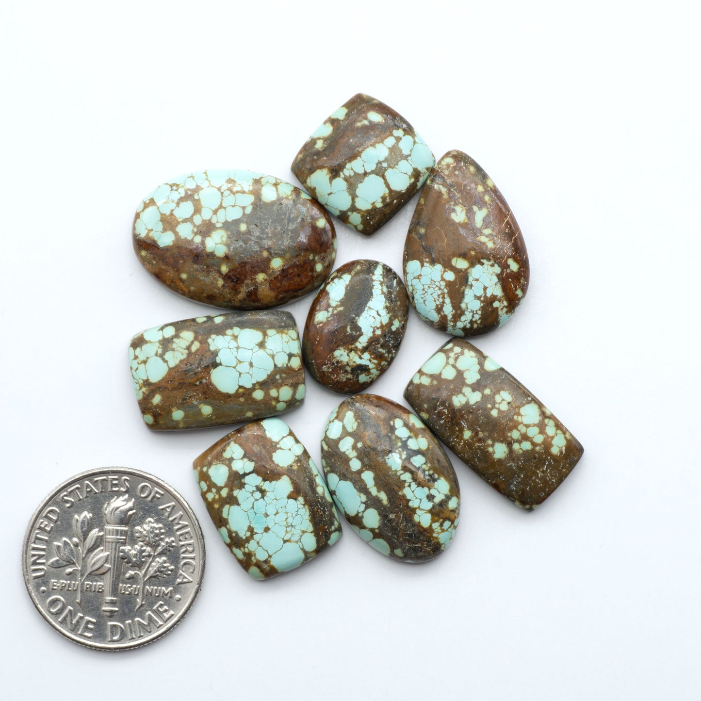 Turquoise stones with brown matrix on a white background, one next to a U.S. dime for size comparison. Number 8 Turquoise Cabochons have been selected for their quality and unique appearance. Don't miss the chance to add a one-of-a-kind piece to your collection.