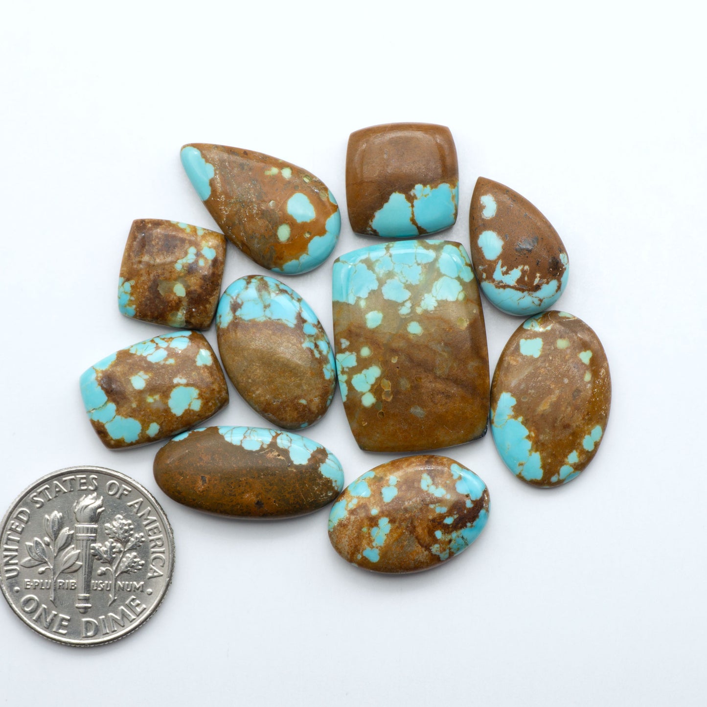 Turquoise and brown stones with a U.S. dime for scale on a white background. Number 8 Turquoise Cabochons have been selected for their quality and unique appearance. Don't miss the chance to add a one-of-a-kind piece to your collection.