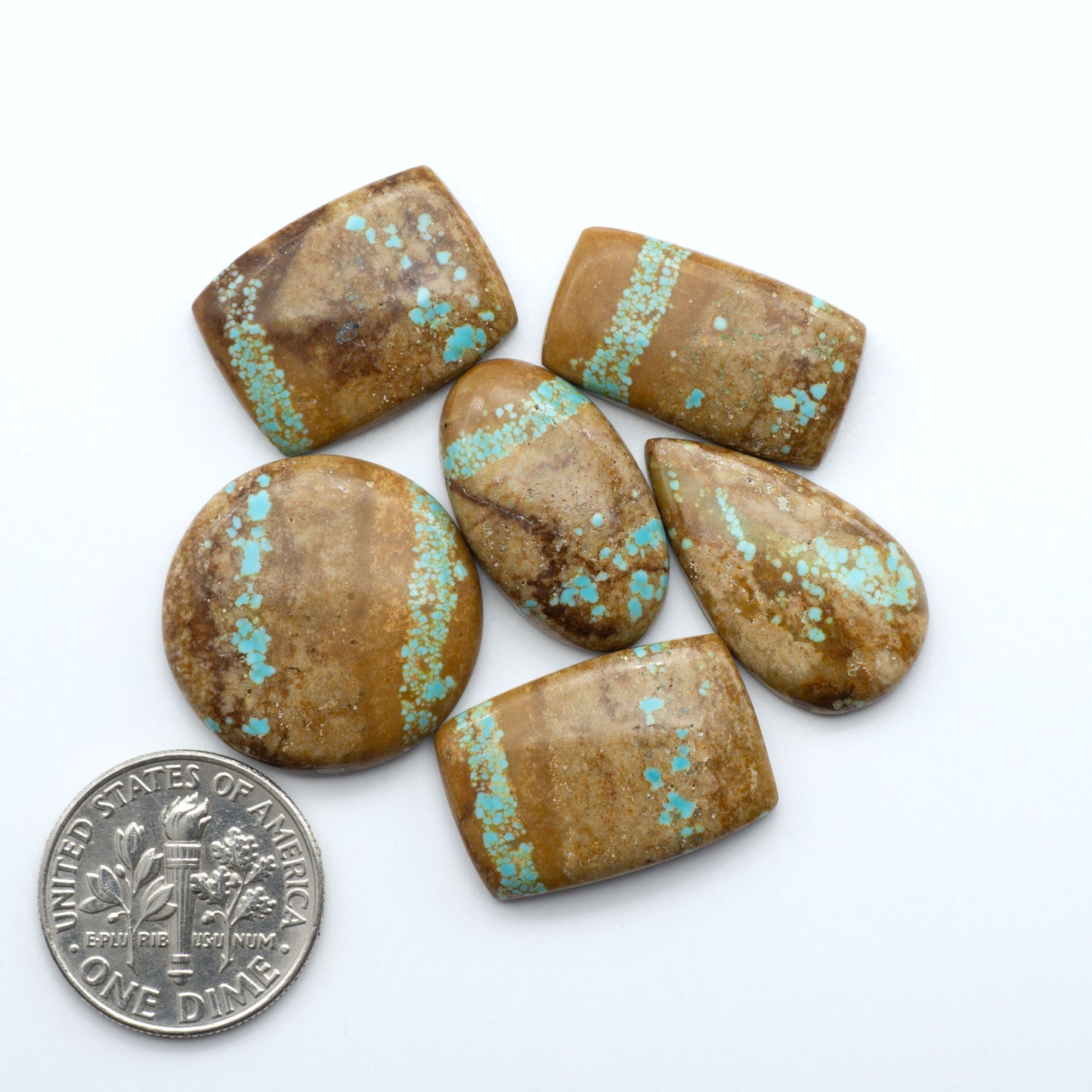 Turquoise-stained brown stones on a white background with a U.S. quarter for scale. Number 8 Turquoise Cabochons have been selected for their quality and unique appearance. Don't miss the chance to add a one-of-a-kind piece to your collection.