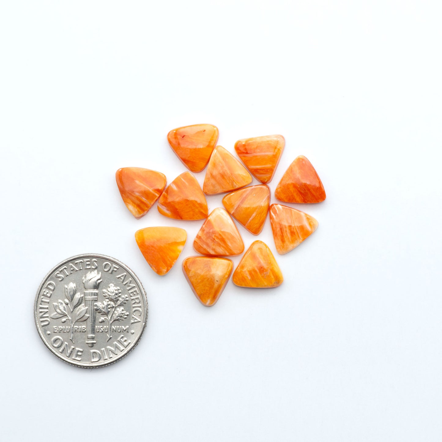 Add a unique touch to your jewelry designs with our beautiful 100% Natural Spiny Oyster Shell Cabochons. Incorporate the beauty of the sea into your creations.