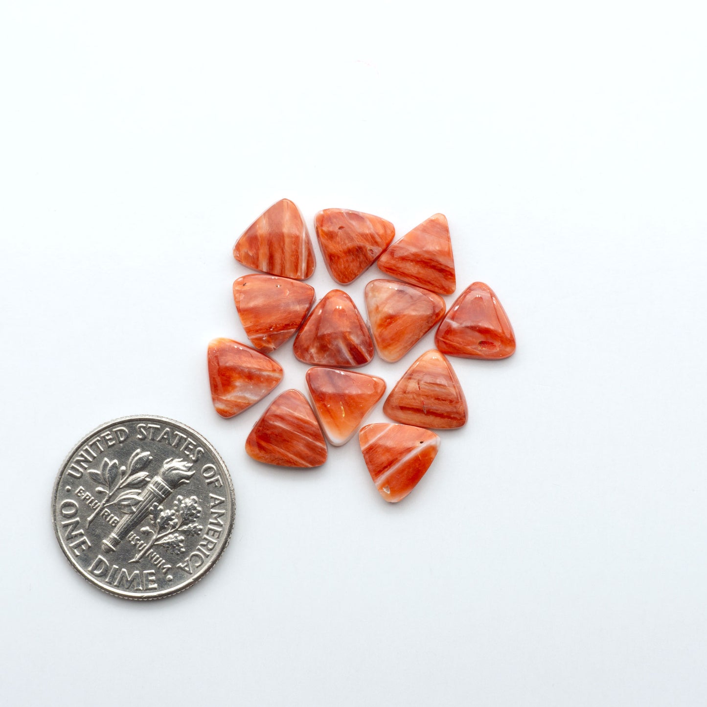 Add a unique touch to your jewelry designs with our beautiful 100% Natural Spiny Oyster Shell Cabochons. Incorporate the beauty of the sea into your creations.