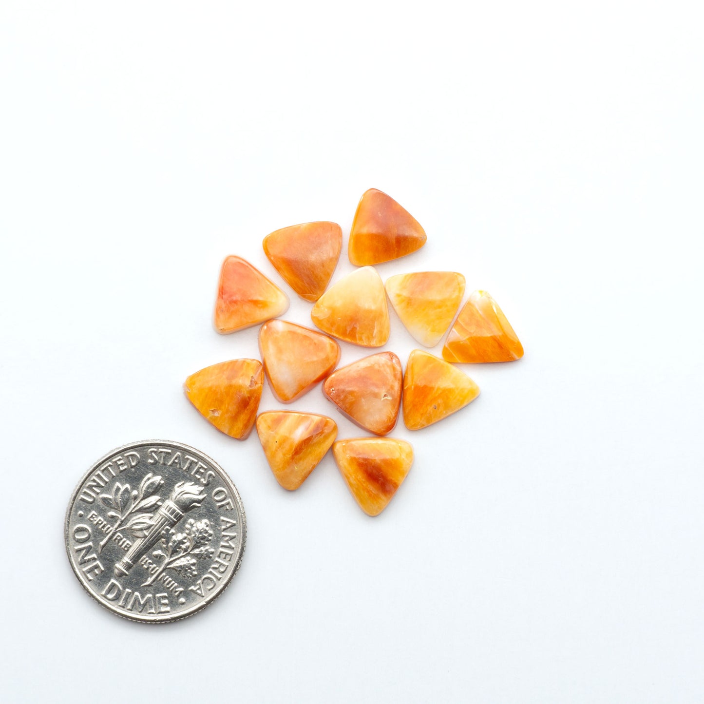 Add a unique touch to your jewelry designs with our beautiful 100% Natural Spiny Oyster Shell Cabochons. Incorporate the beauty of the sea into your creations.