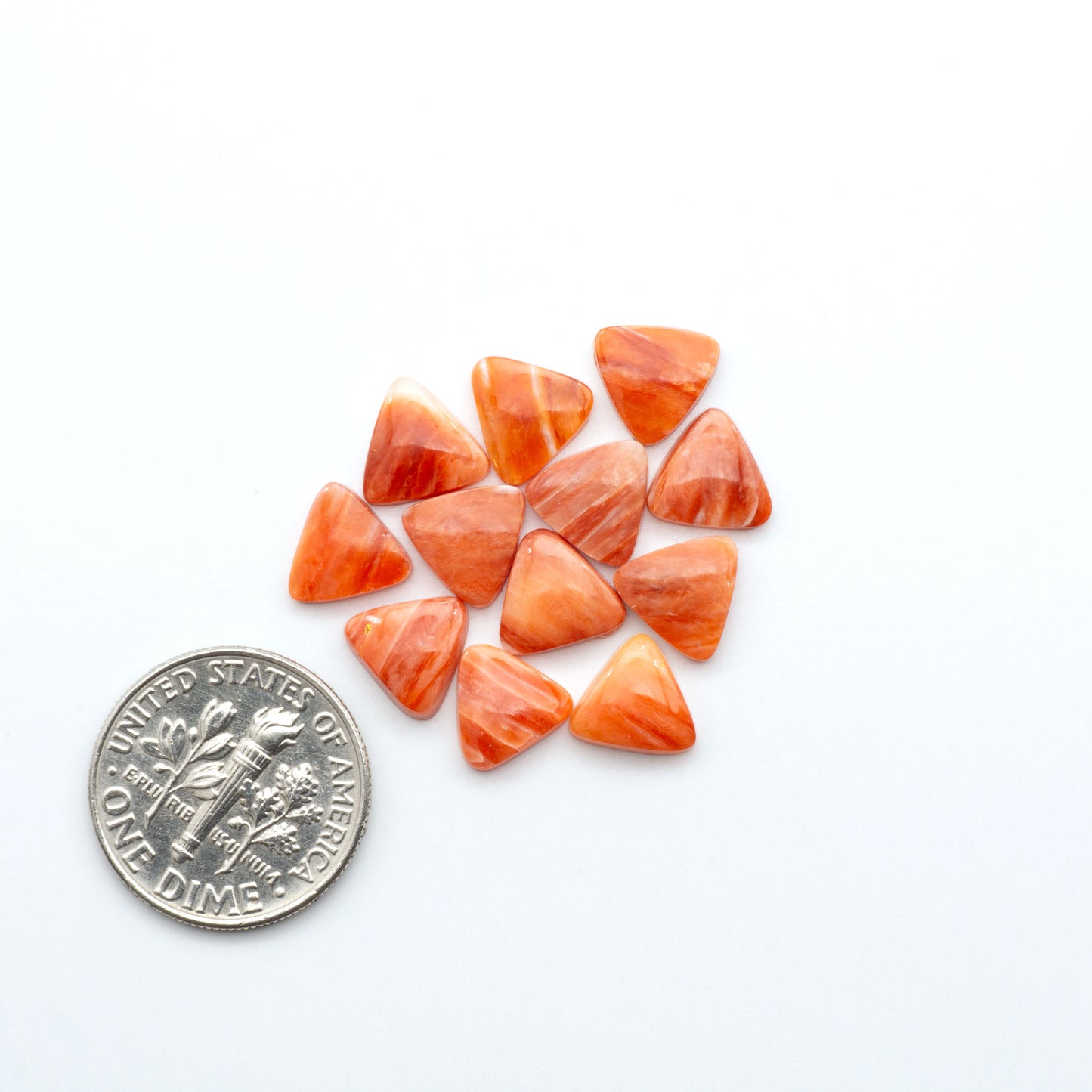 Add a unique touch to your jewelry designs with our beautiful 100% Natural Spiny Oyster Shell Cabochons. Incorporate the beauty of the sea into your creations.