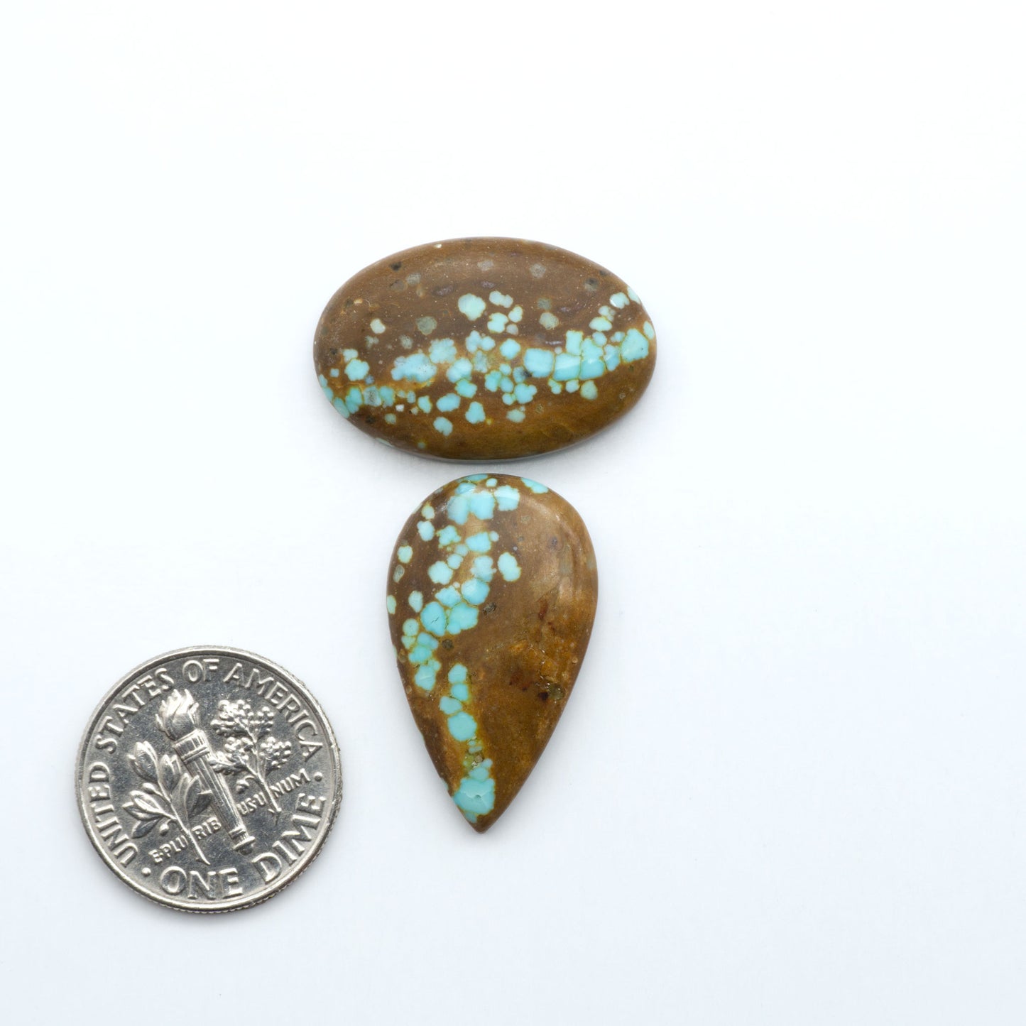Two brown stones with turquoise speckles next to a U.S. quarter on a white background. Number 8 Turquoise Cabochons have been selected for their quality and unique appearance. Don't miss the chance to add a one-of-a-kind piece to your collection.