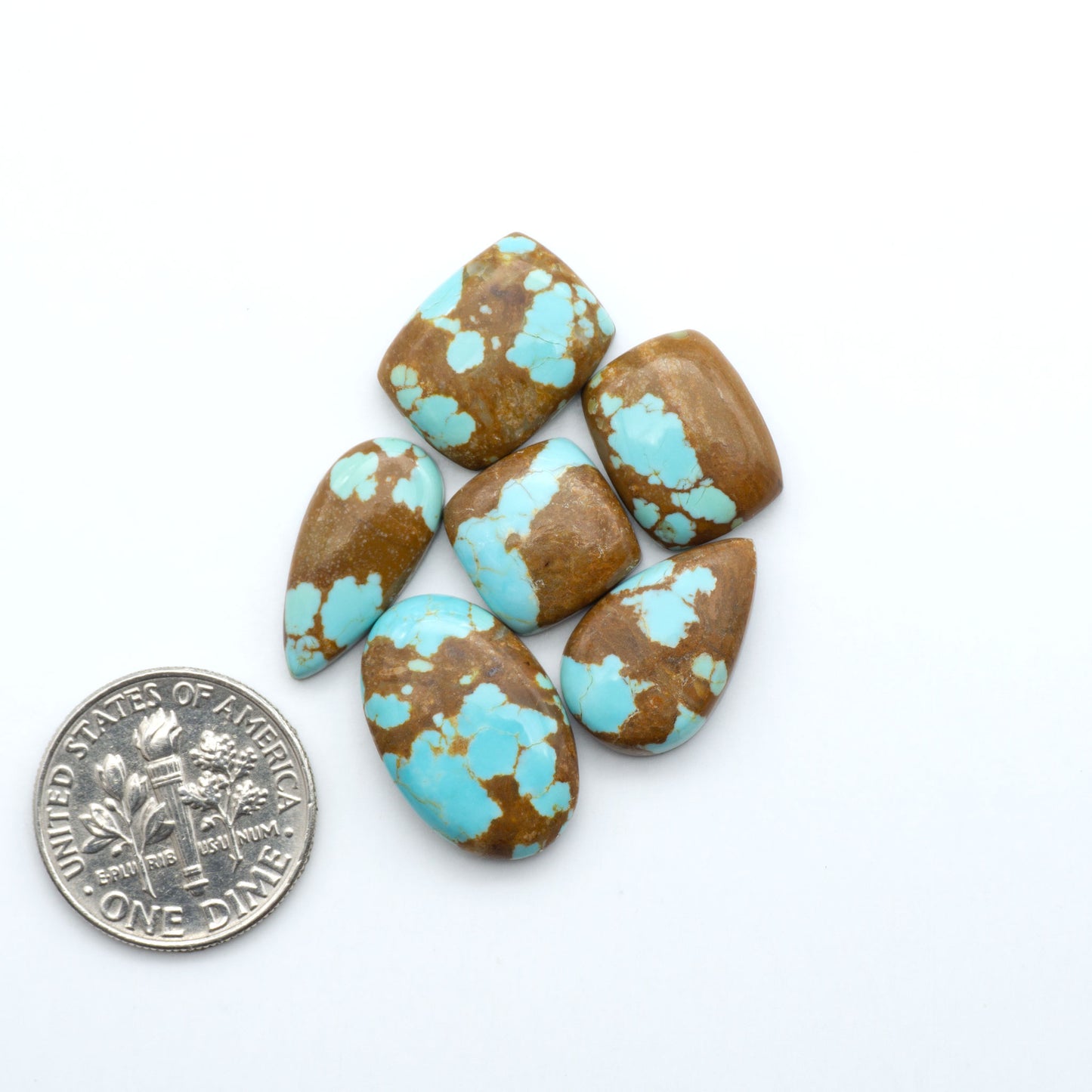 Turquoise and brown stone beads with a U.S. quarter for scale on a white background. Number 8 Turquoise Cabochons have been selected for their quality and unique appearance. Don't miss the chance to add a one-of-a-kind piece to your collection.