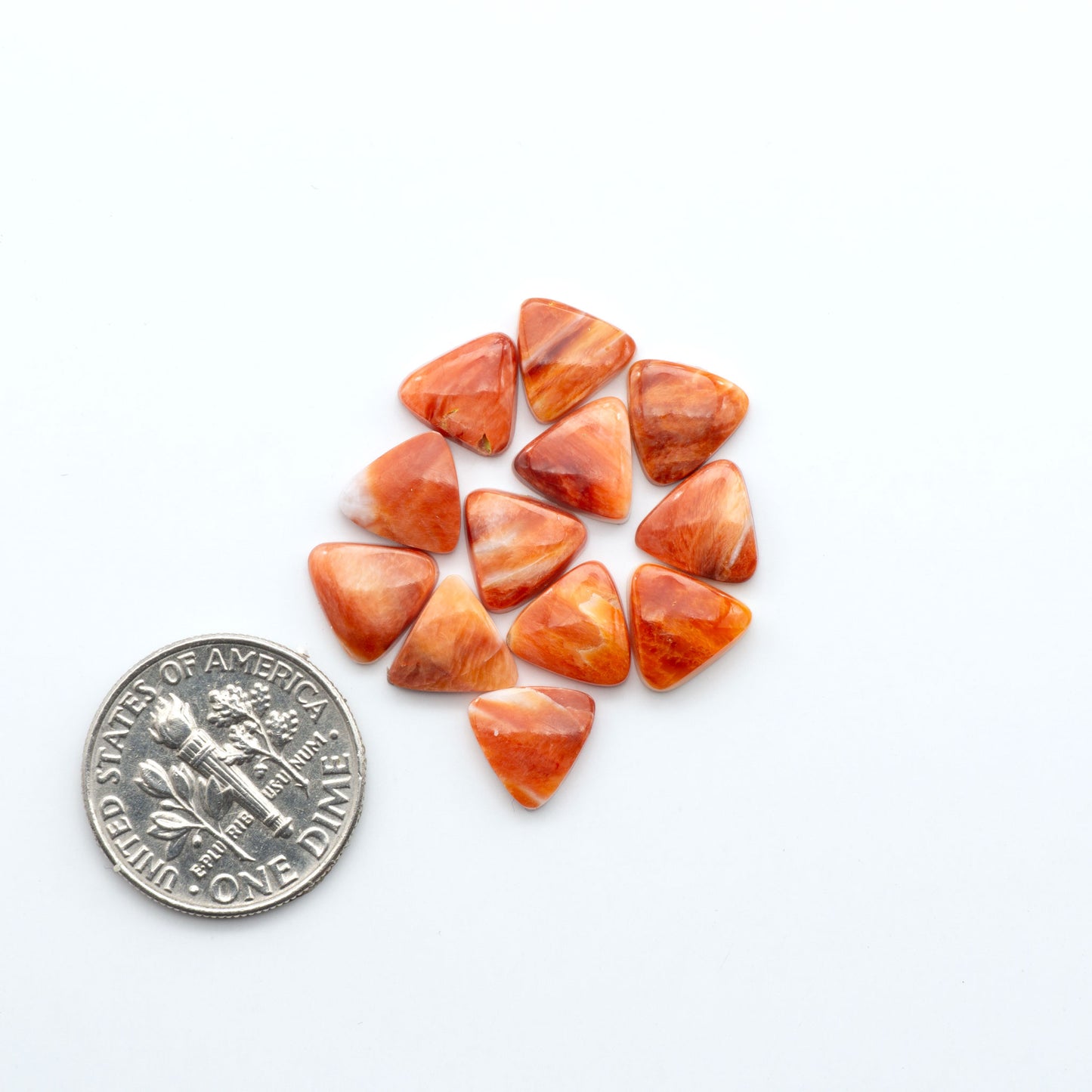 Add a unique touch to your jewelry designs with our beautiful 100% Natural Spiny Oyster Shell Cabochons. Incorporate the beauty of the sea into your creations.