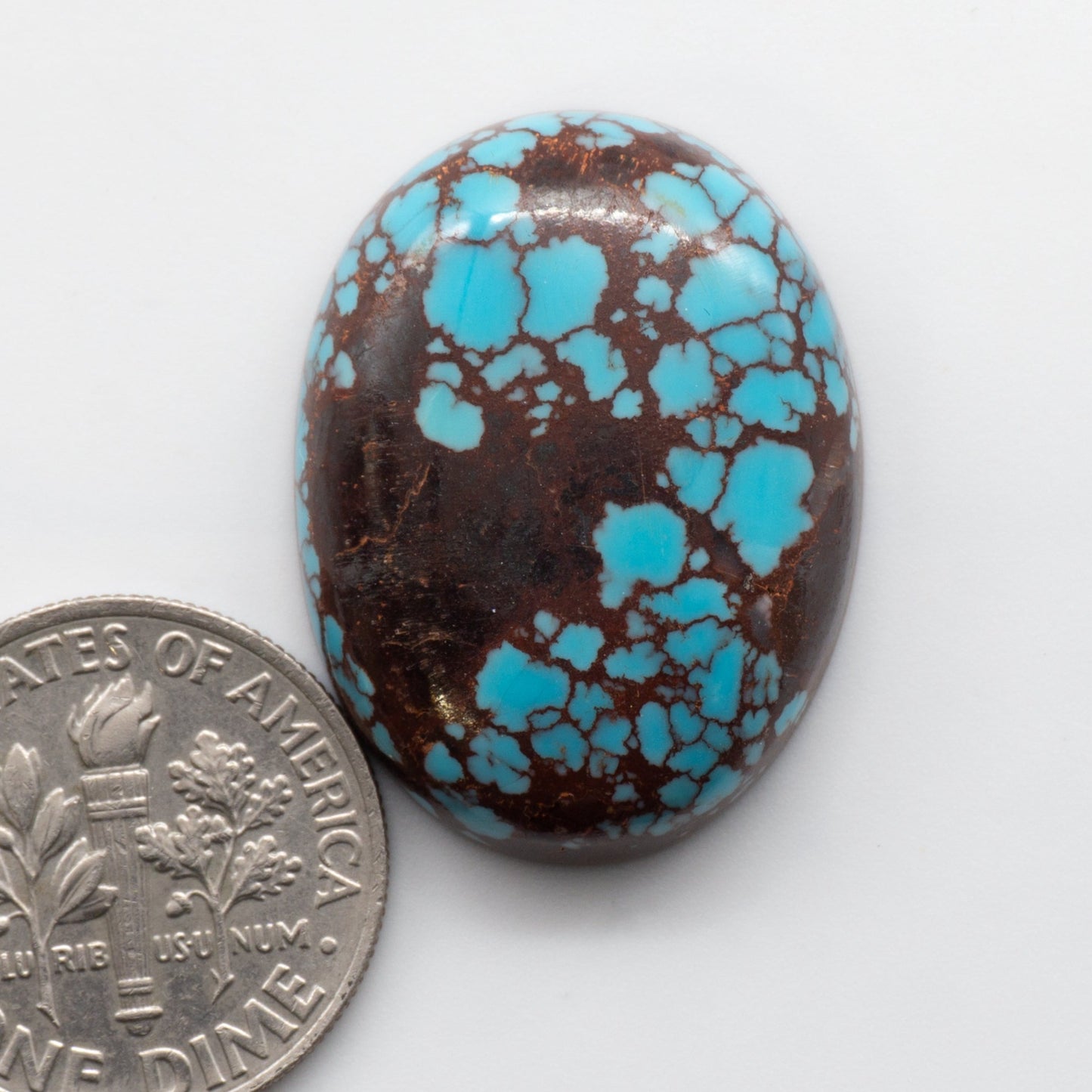 Egyptian Turquoise Cabochon