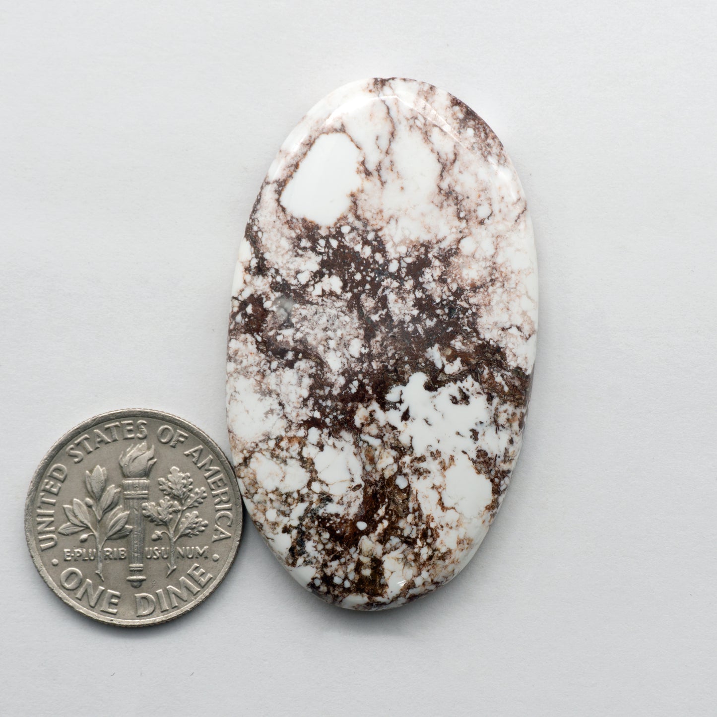 Wild Horse Cabochon
