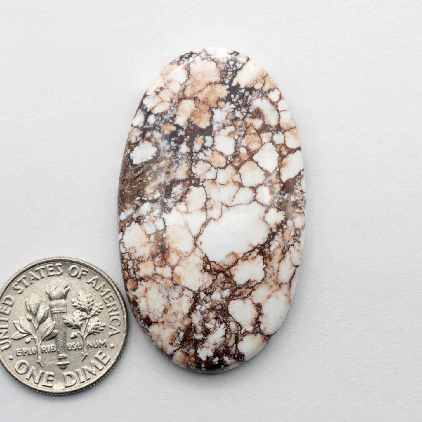 Natural Wild Horse Cabochon