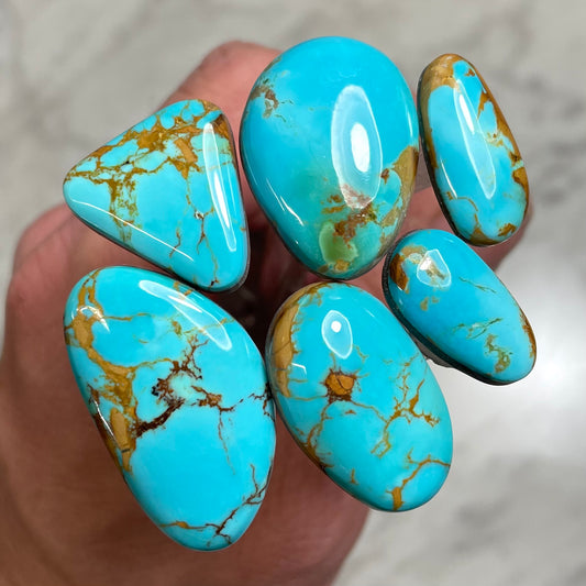 Kings Manassa Turquoise