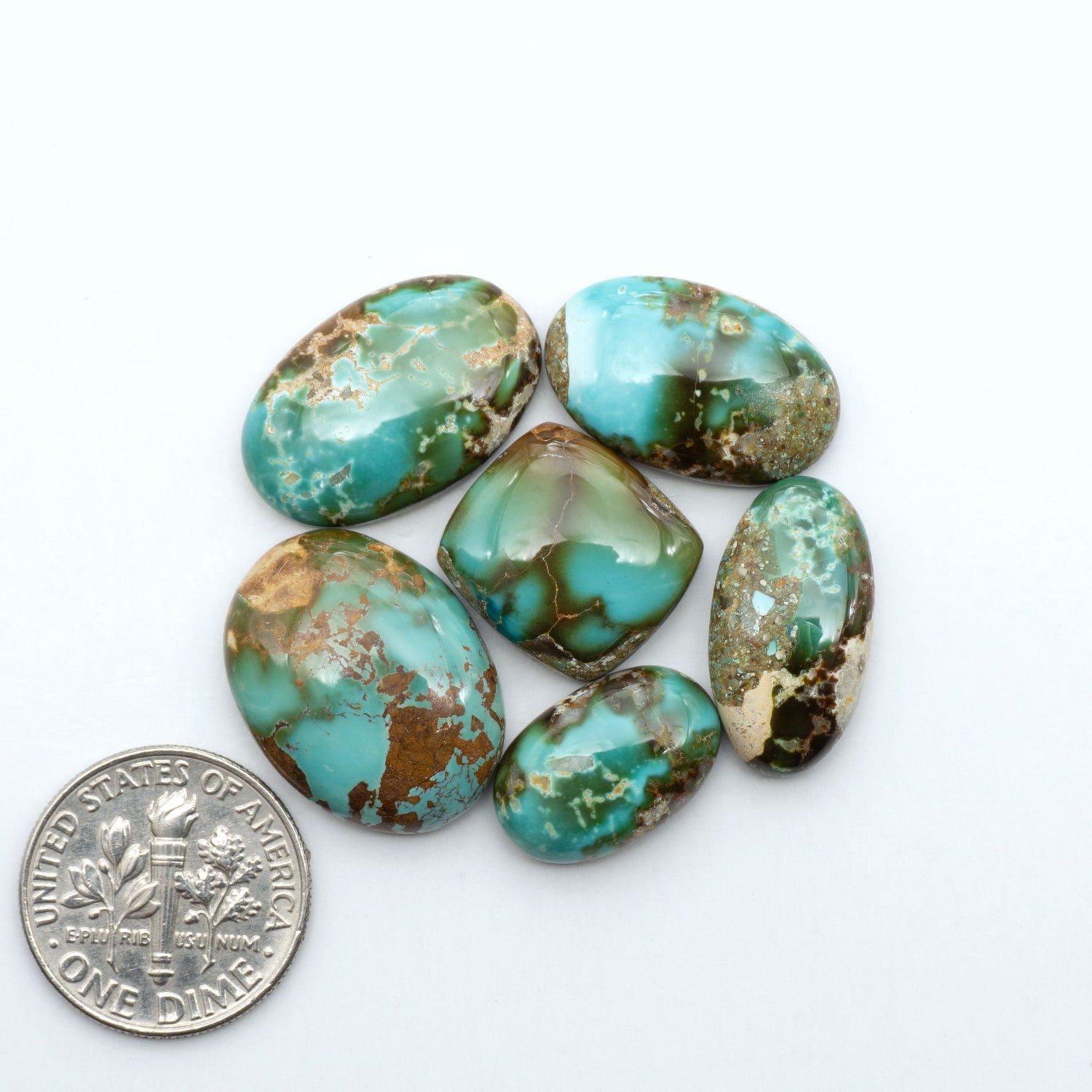 Royston Turquoise cabochons, blue-green color with natural matrix, polished stones on a white background, with a US dime for scale