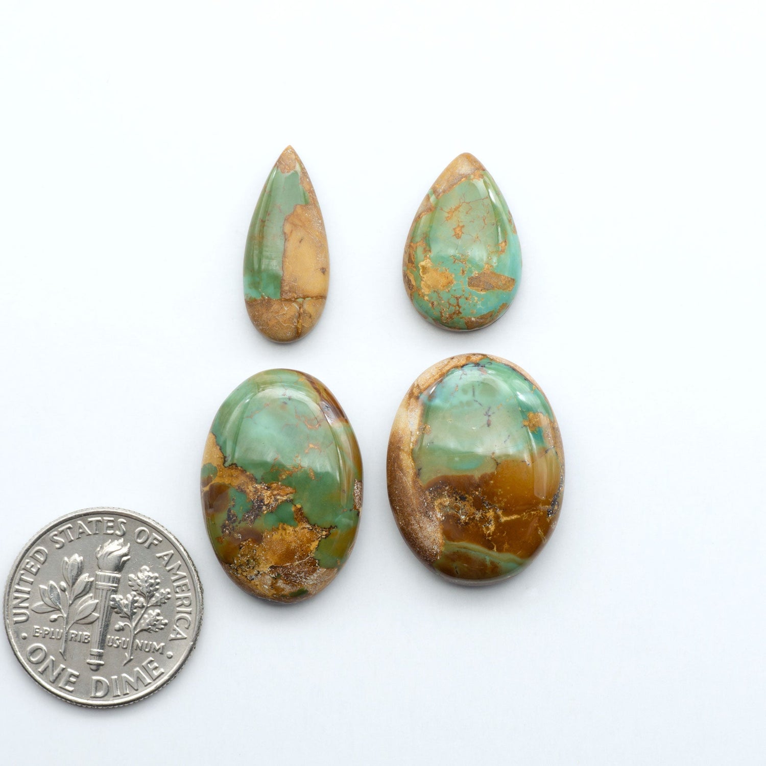 Natural Crow Springs Turquoise Cabochons, polished green gemstones with a brown matrix on a white background, with a US dime for scale