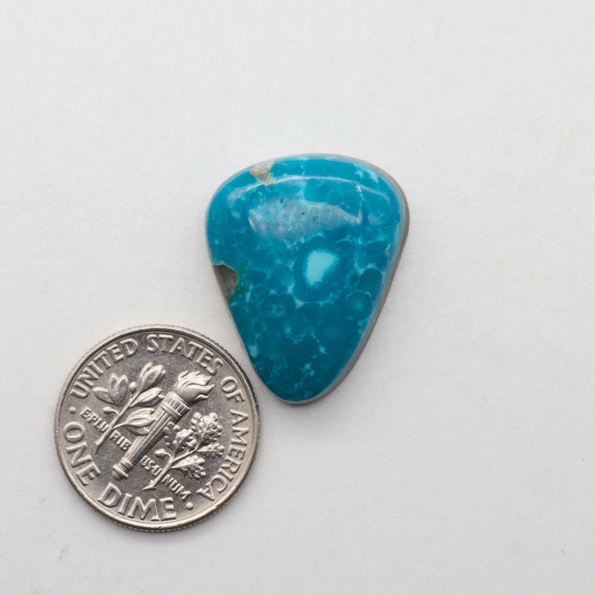 Cumpas Turquoise Cabochons