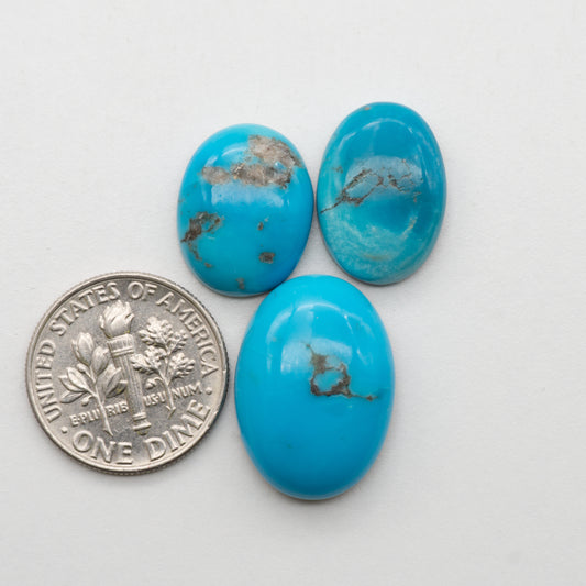Kingman Turquoise Cabochons
