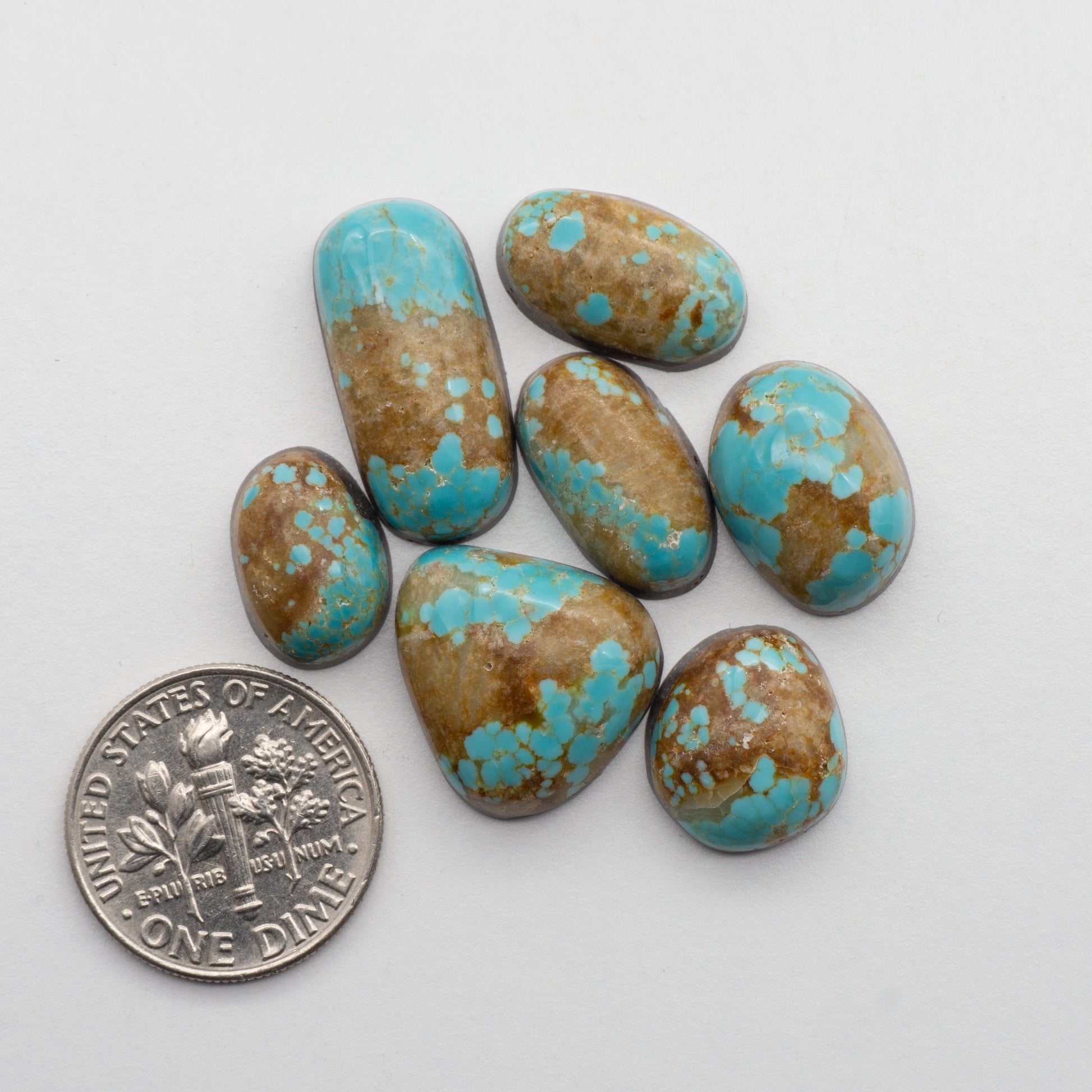 Number 8 Turquoise Cabochon lot