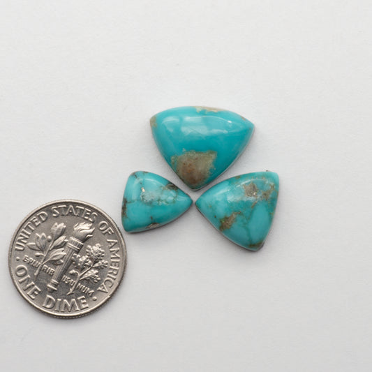 Campitos Turquoise Cabochons