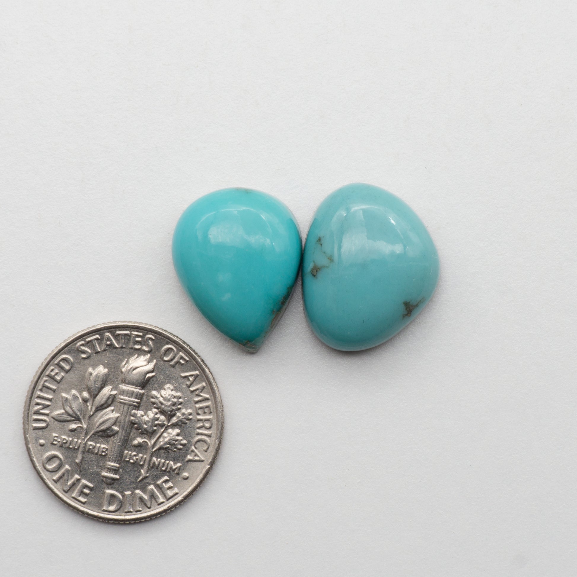 Campitos Turquoise Cabochons