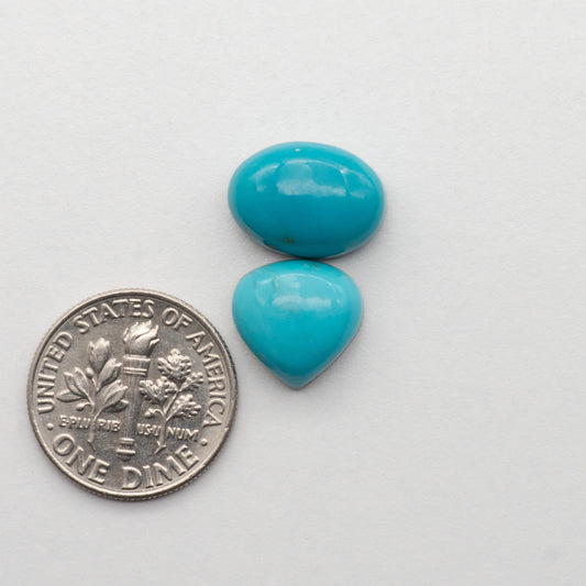Campitos Turquoise Cabochons