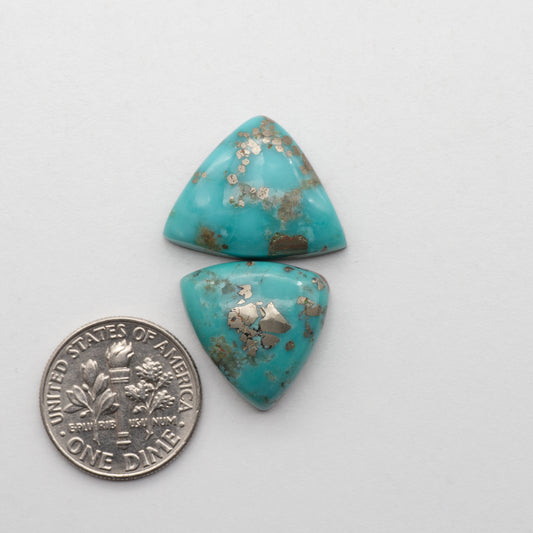 Campitos Turquoise Cabochons