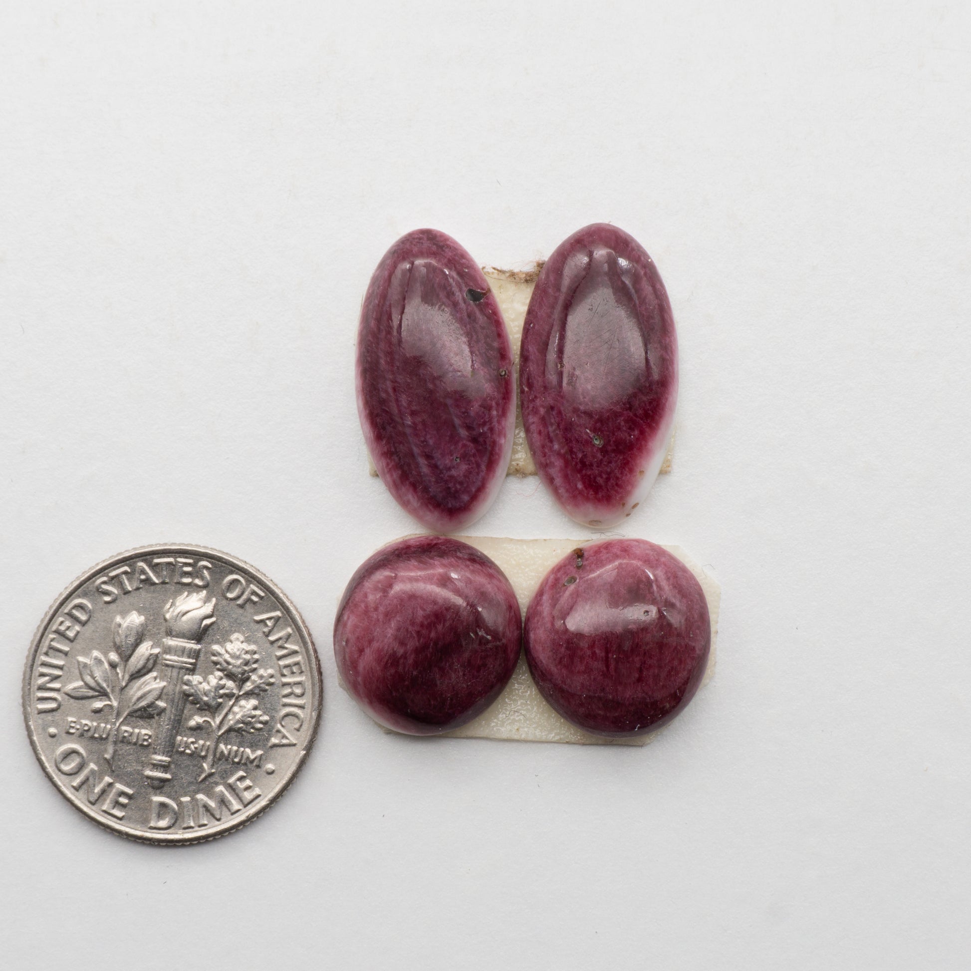 Spiny Oyster Cabochons