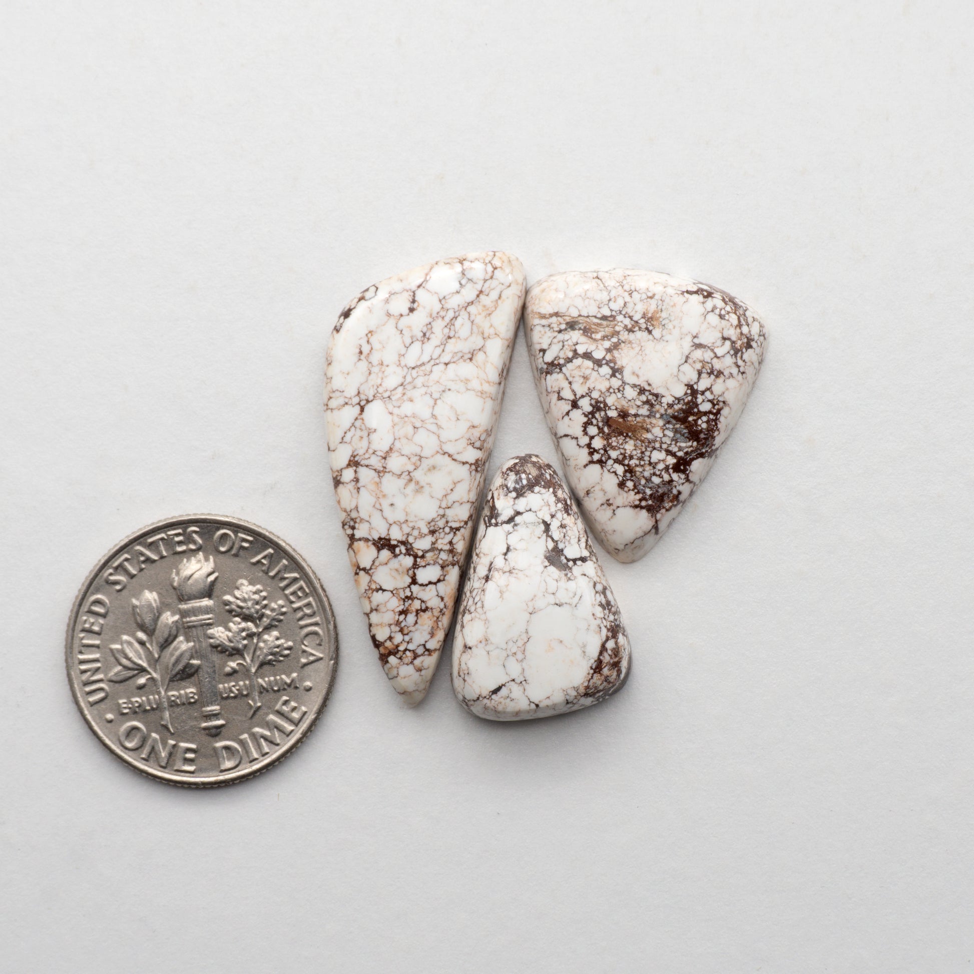 Wild Horse Cabochons