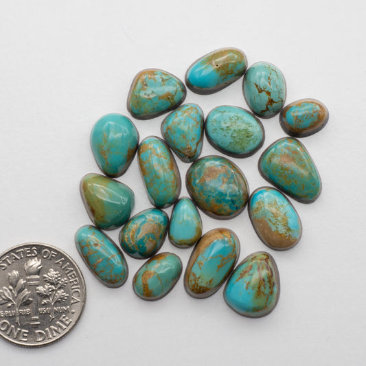 Kings Manassa Turquoise