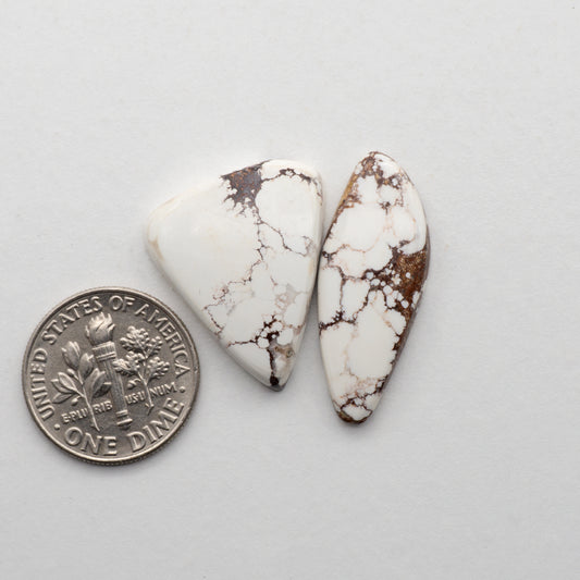 Wild Horse Cabochons