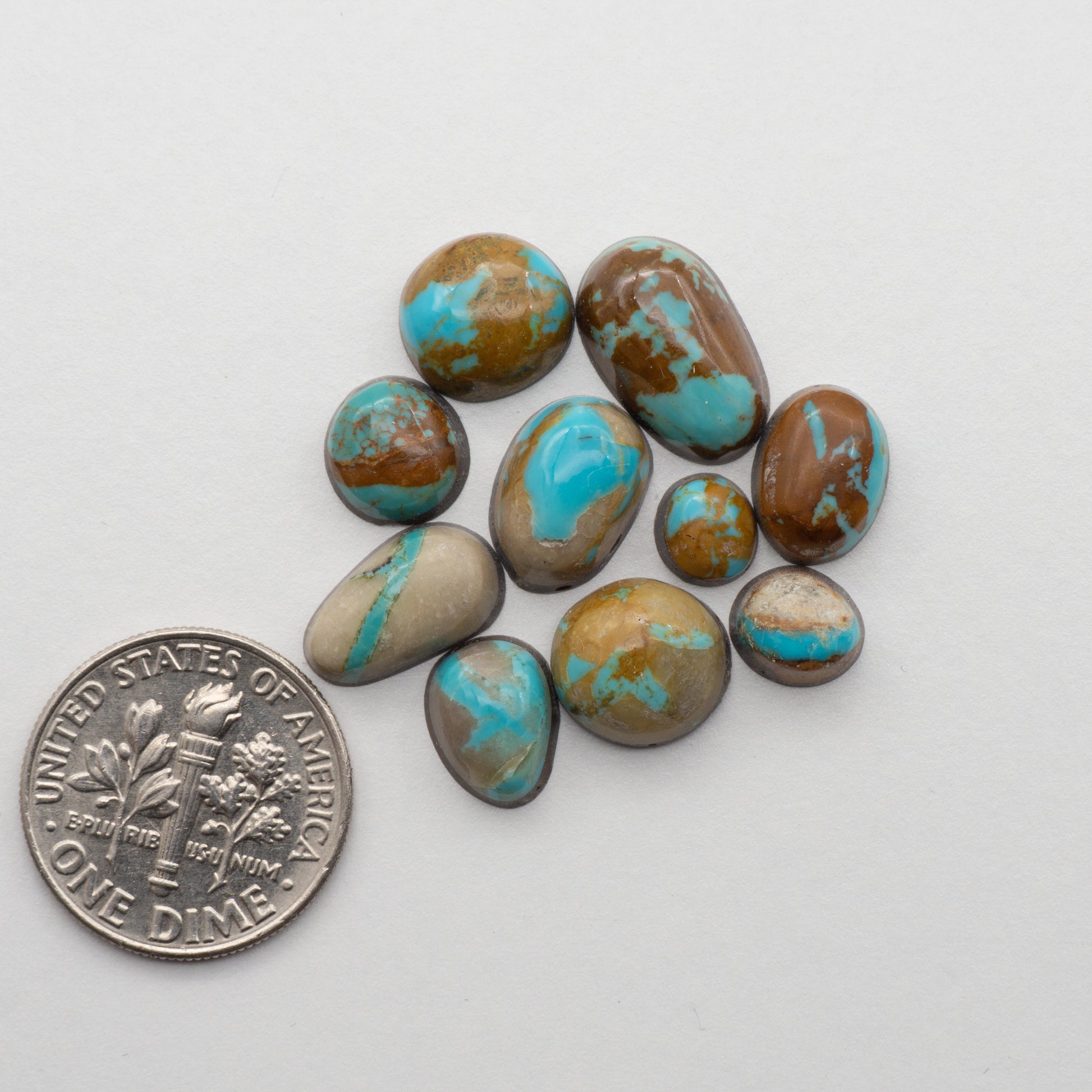 Kings Manassa Turquoise