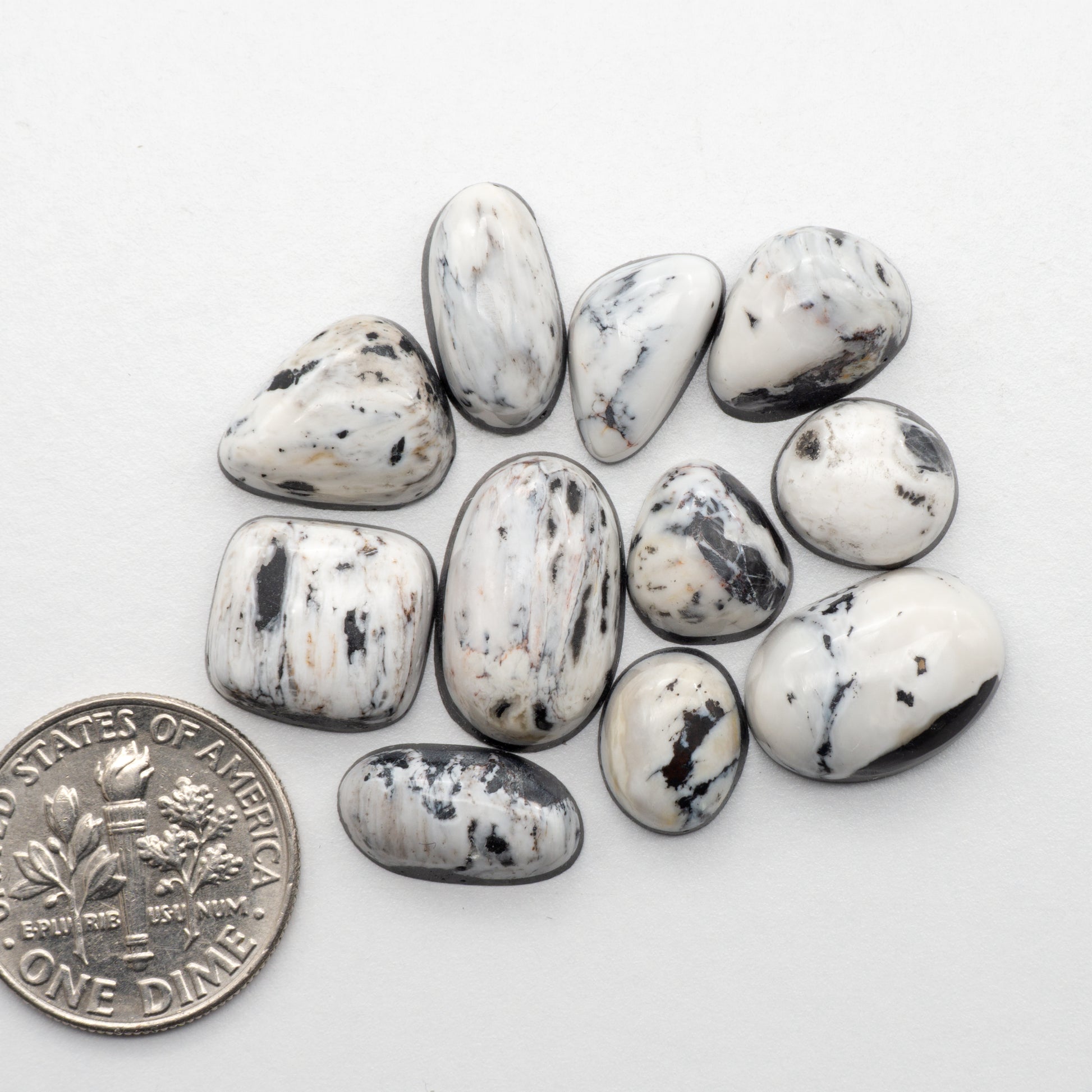 White Buffalo Stone Cabochons are semi-precious gemstones cut into shapes ideal for jewelry-making and crafting. The unique and varied veining of each cabochon lend an unparalleled depth and detail to any project, making them an excellent choice for artisans looking to add an individualistic touch.