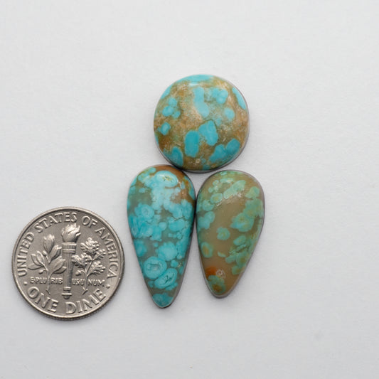 The Cumpas Turquoise is a captivating gemstone with a unique, blue-green color. Derived from a mixture of quartz and algae, this stone is perfect for use in jewelry or other decorative pieces. The natural beauty of the Cumpas Turquoise makes it a stunning addition to any collection.
