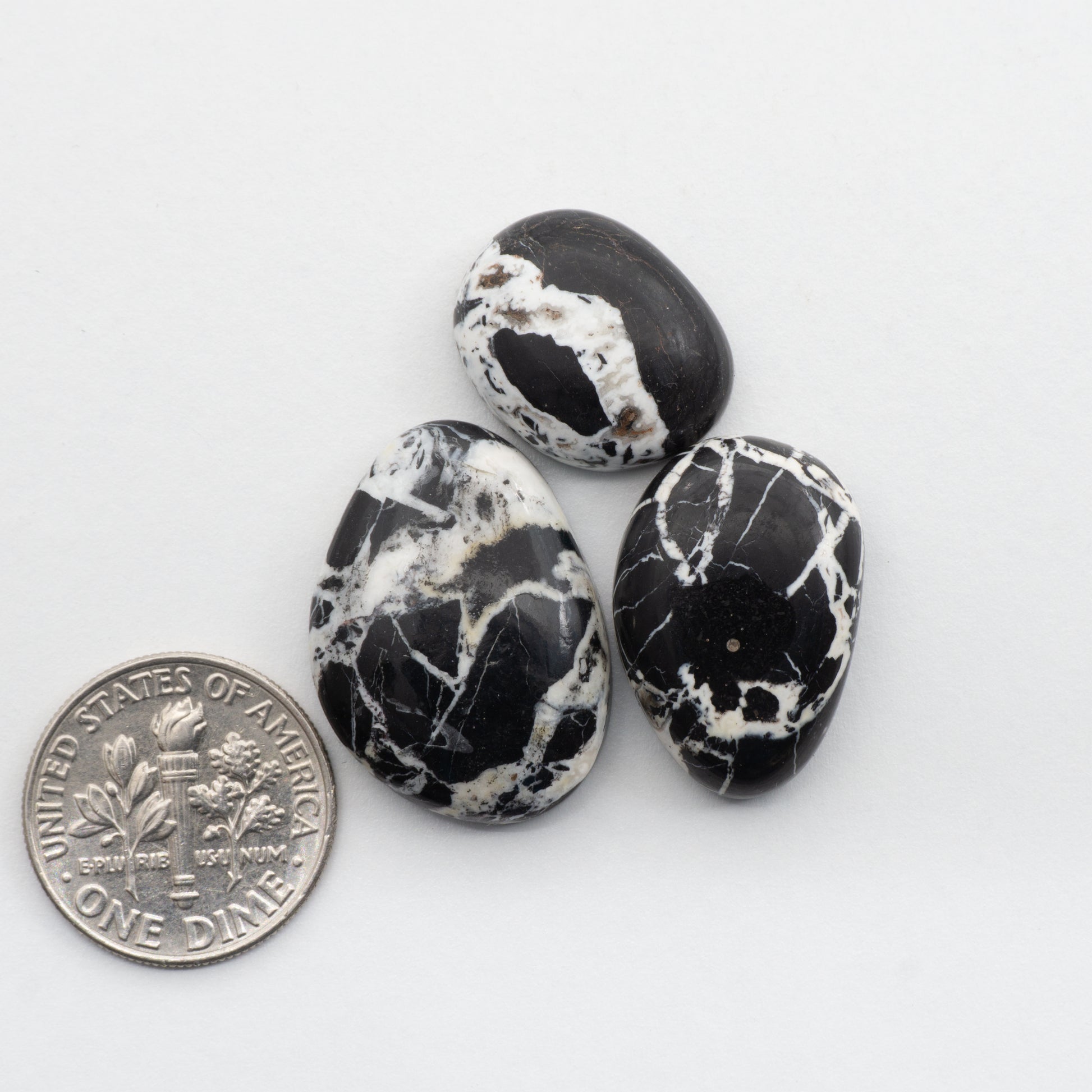 These Natural White Buffalo Cabochons have a glossy finish and are backed for added strength. Mined in Nevada, USA these stones are similar to turquoise used for jewelry making.