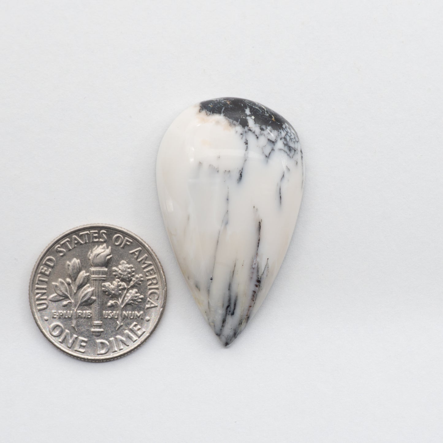 These Natural White Buffalo Cabochons have a glossy finish and are backed for added strength. Mined in Nevada, USA these stones are similar to turquoise used for jewelry making.